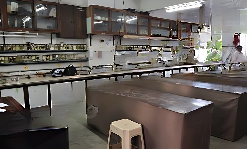 Wamanrao Muranjan Junior College of Science And Commerce — photo 4