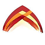 Waves International School logo