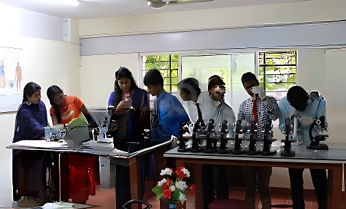 Westline PU College — photo 4