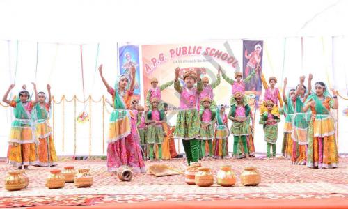 A.P. Garg Public School — photo 4