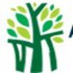 Abhay International School logo