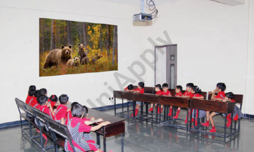ACME International School — photo 5