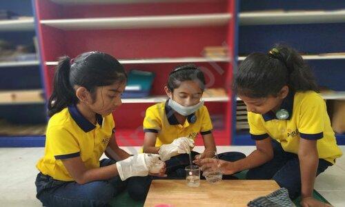 Airaa Academy — photo 5