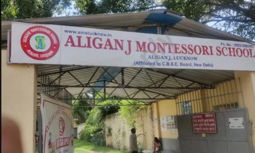 Aliganj Montessori Senior Secondary School — photo 1
