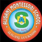 Aliganj Montessori Senior Secondary School logo