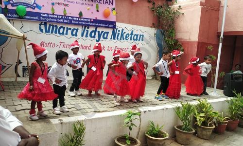 Amara Vidya Niketan — photo 5