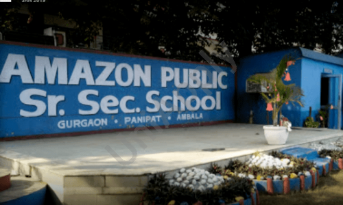Amazon Public School — photo 2