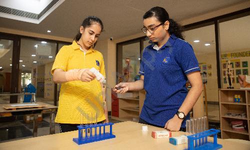 Ambience Public School — photo 3