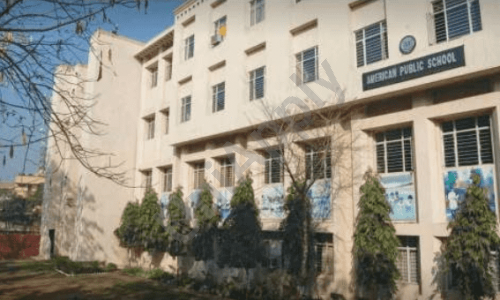 American Montessori Public School — photo 3