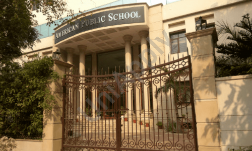 American Montessori Public School — photo 5