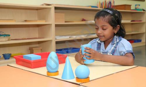 American Montessori Public School — photo 10