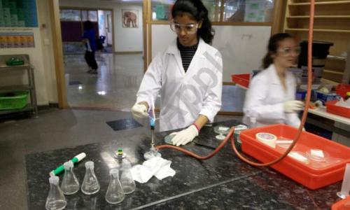 American School of Bombay — photo 3