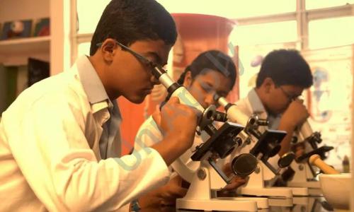 Ameya World School — photo 15
