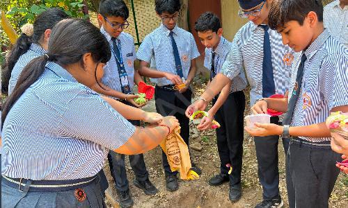 Apeejay Svran Global School — photo 2