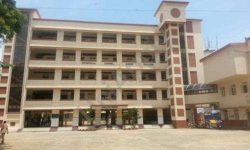 Apostolic Carmel High School And Junior College — photo 1