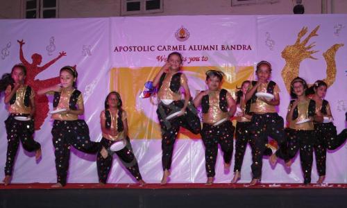 Apostolic Carmel High School And Junior College — photo 4