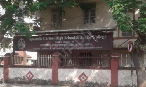 Apostolic Carmel High School And Junior College — photo 5