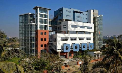 Ascend International School — photo 1