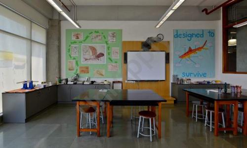 Ascend International School — photo 4