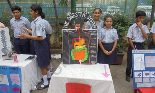 Ashok Academy — photo 7
