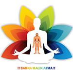 Atma Malik International School logo