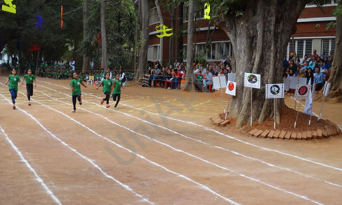 Auro Mirra International School — photo 11