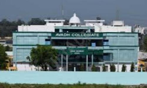 Avadh Collegiate — photo 1