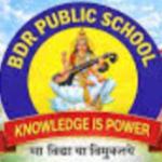 B D R Public School logo