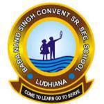 Baba Nand Singh Convent Sr. Sec. School logo