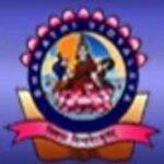 Bal Vikas Senior Secondary School logo