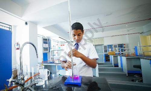 Baldwin International School — photo 5
