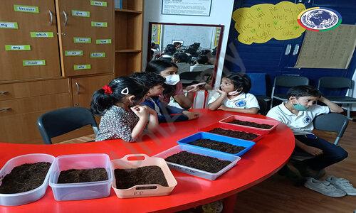 Bangalore International School — photo 6