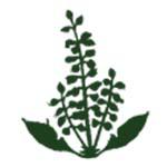 Basil Woods International School logo