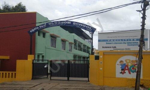 Blossom School — photo 1