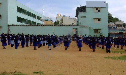 Blossom School — photo 2