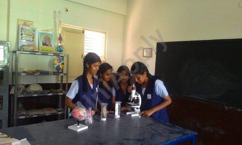 Blossom School — photo 6