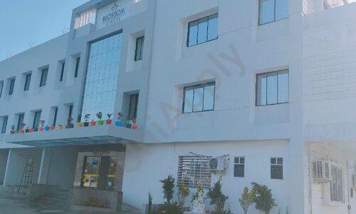 Blossom School — photo 2