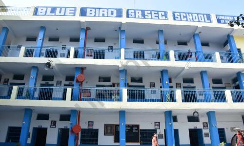Blue Bird Senior Secondary School — photo 1