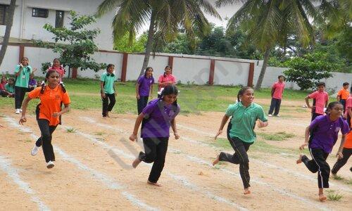 BMN Public School — photo 4