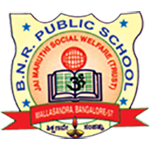BNR Public School logo