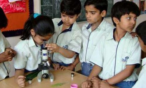 Brain Tree Global School — photo 3
