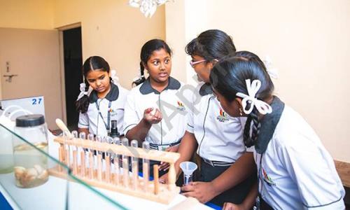 Brighton School And PU College — photo 3
