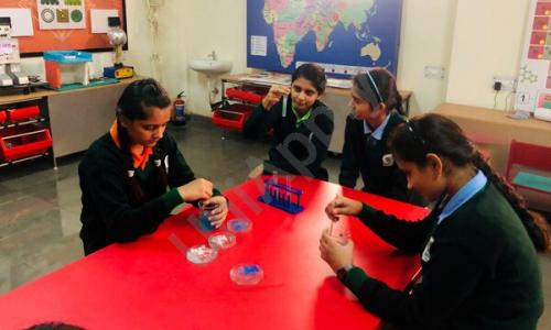 Brightways International School — photo 9