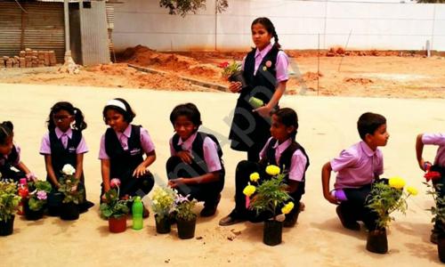 BS International School — photo 6
