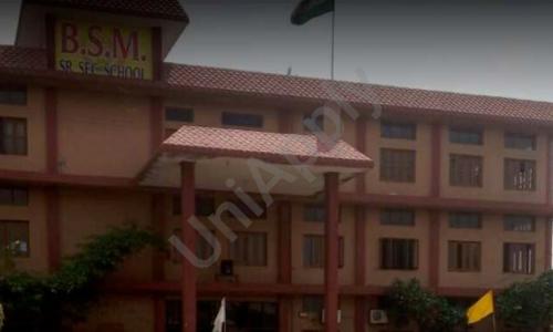 BSM Senior Secondary School — photo 1