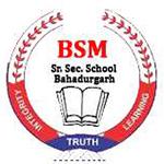 BSM Senior Secondary School logo