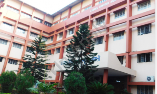 Carmel Convent High School — photo 3