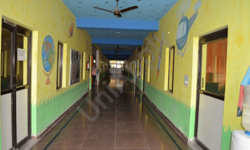 CD International School — photo 4