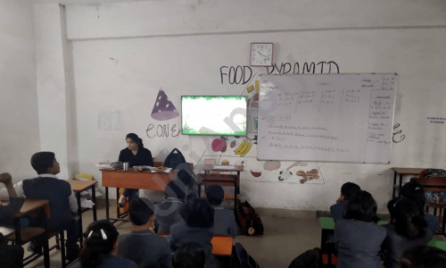 CD International School — photo 6