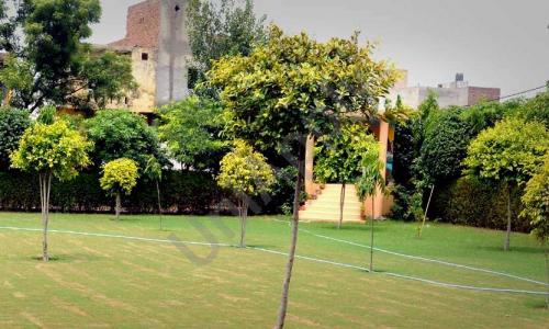 Chand Ram Public School — photo 5